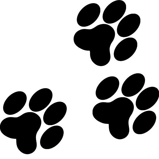 Interface - 图片 50